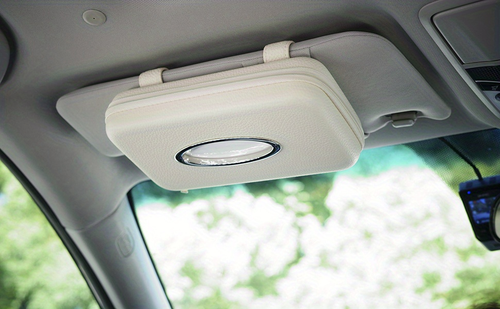 Keep Your Car Clean and Organized with this Visor Tissue Holder!